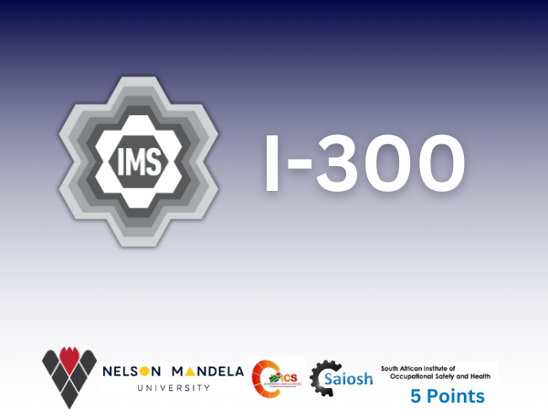IMS I-300